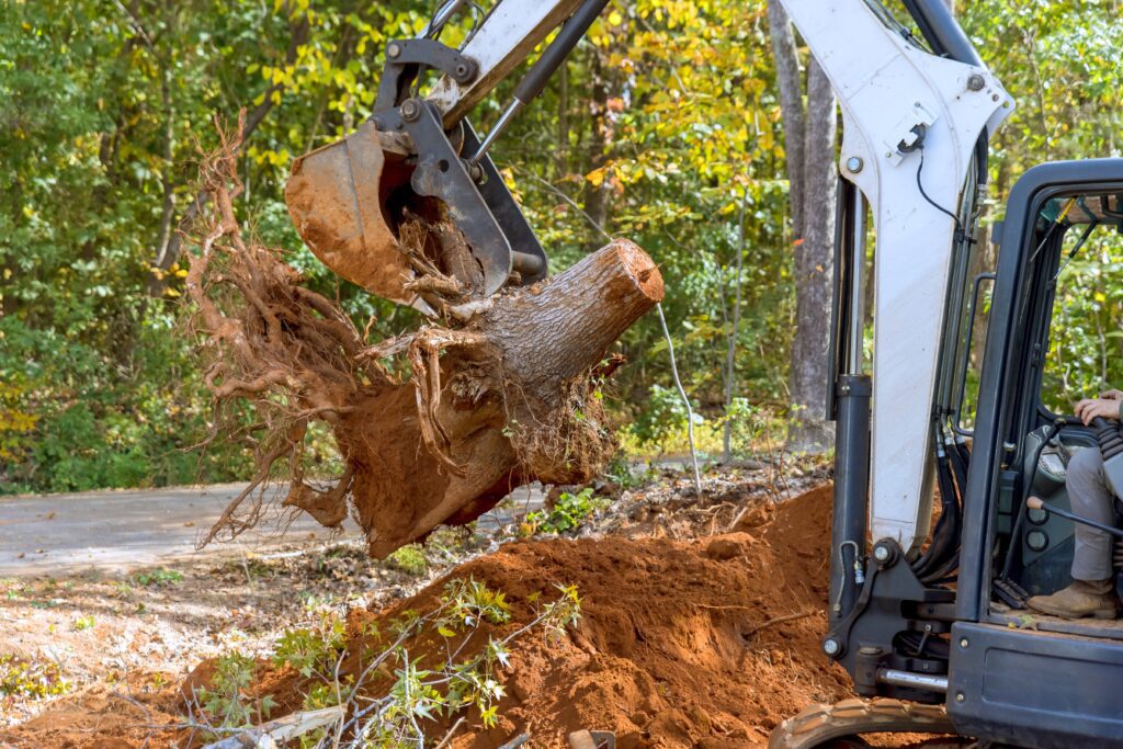 An excavator with a white arm lifts a brown tree stump with exposed roots. The machine is situated in a rural area with a pile of red dirt visible near its tracks.